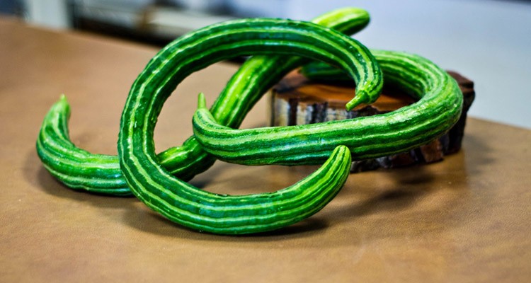 دستور پخت آش خیار چنبر