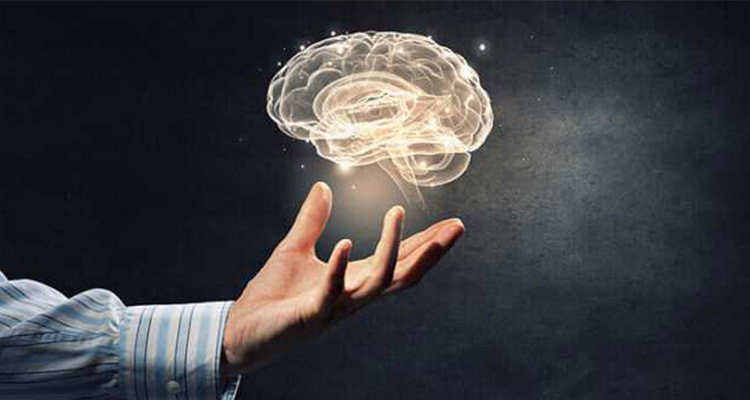 مواد غذایی مفید برای تقویت مغز