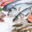 مزاج انواع ماهی در طب سنتی