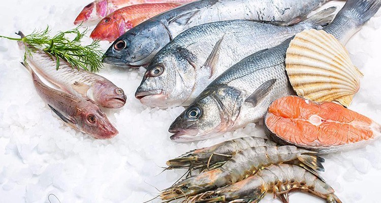 همه چیز در مورد طبع و مزاج انواع ماهی