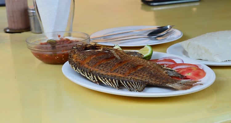 مصرف ماهی تیلاپیا و عوارض خطرناک آن