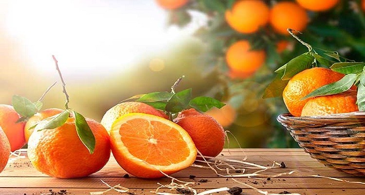 خواص و ترکیبات خاص نارنج