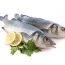 خواص و مزاج ماهی در طب سنتی
