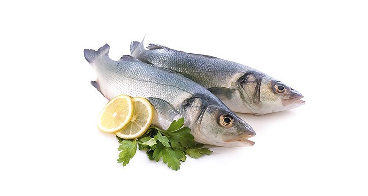 خواص و مزاج ماهی در طب سنتی