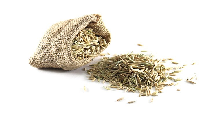 خواص و طبع جو دوسر در طب سنتی