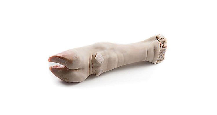 خواص و طبع پاچه در طب سنتی