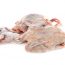 خواص و مزاج گوشت کبوتر در طب سنتی