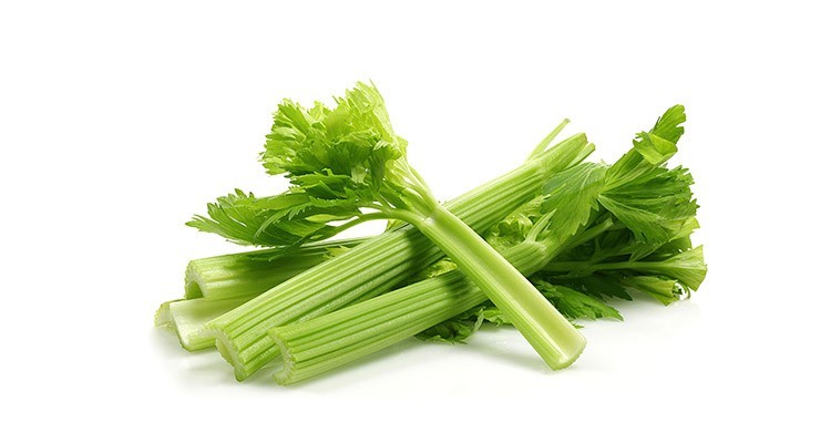 خواص و طبع کرفس در طب سنتی