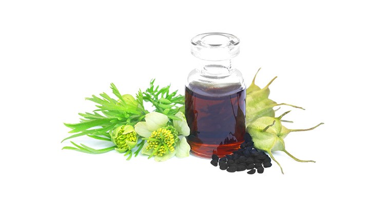 خواص و مزاج روغن سیاه دانه در طب سنتی