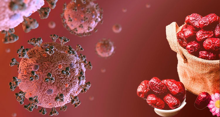 عناب و تأثیر آن بر بیماری کرونا