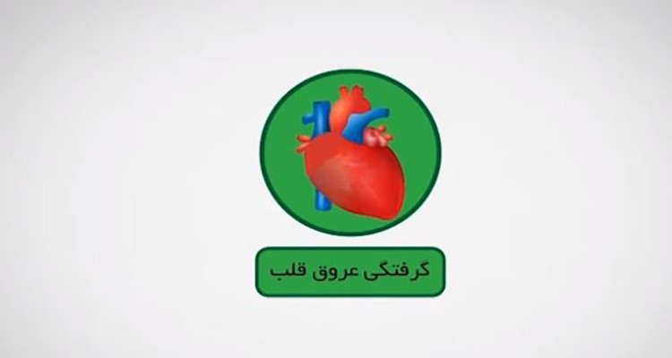 درمان و پیشگیری از بیماری های قلبی از دیدگاه طب سنتی ایران