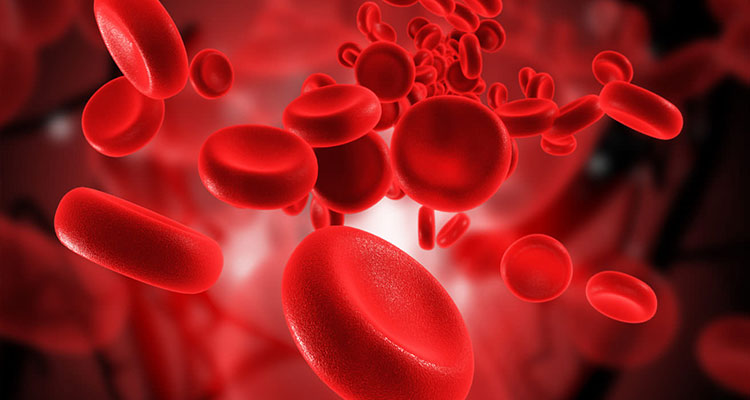 آشنایی با علائم و تدابیر درمانی غلظت خون در طب سنتی