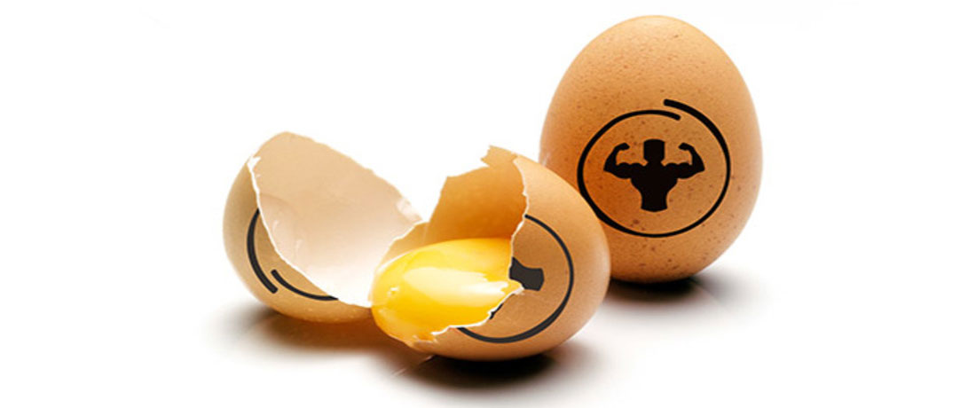 تخم مرغ و عضله سازی