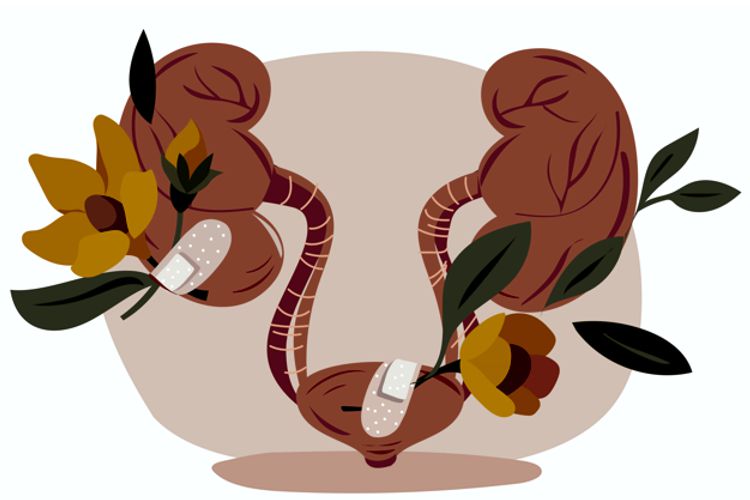 درمان عفونت ادراری در طب سنتی