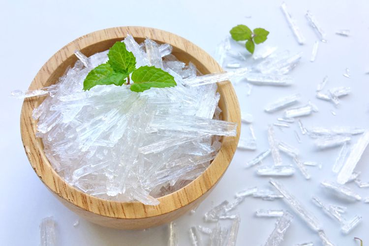 معرفی منتول و خواص آن در طب سنتی