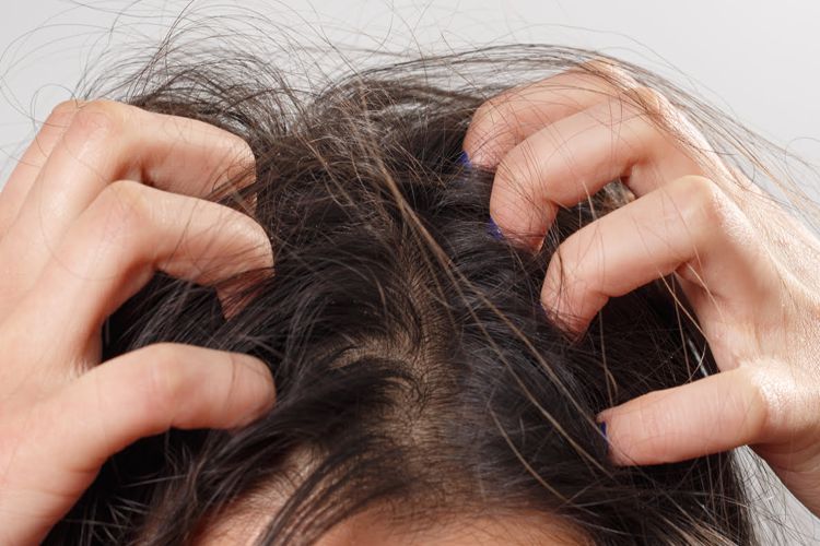 نسخ رایج طب ایرانی در مورد مشکلات موی سر