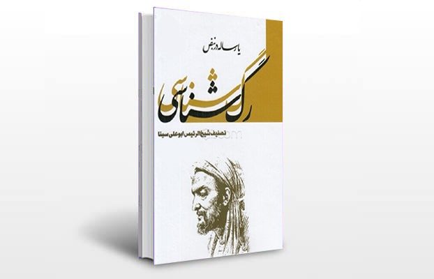 معرفی و دانلود کتاب های طب سنتی ایران 11 معرفی کتاب رگ شناسی (رساله نبض)