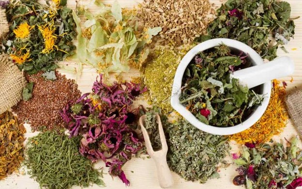 معرفی گیاهان دارویی شفابخش