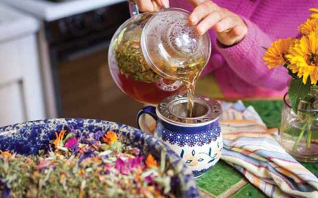 معرفی گیاهان دارویی شفابخش 1 گیاهان دارویی شفابخش