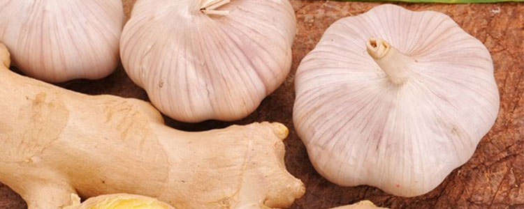 10 درمان قطعی زانو درد با طب سنتی: درمان گیاهی و طبیعی زانو درد (دکتر خیراندیش) 1 درمان سنتی زانو