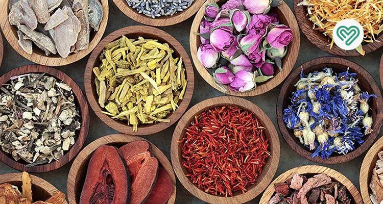 راهای درمان افسردگی و فراموشی با کمک گیاهان دارویی