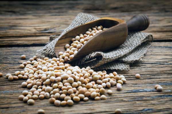 بررسی کامل ارزش غذایی سویا و خواص شگفت‌انگیز آن