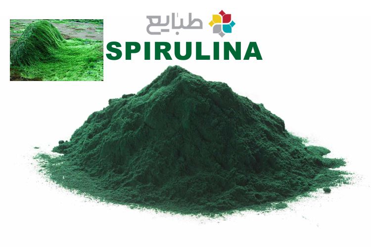 61 خاصیت جلبک اسپیرولینا در طب سنتی