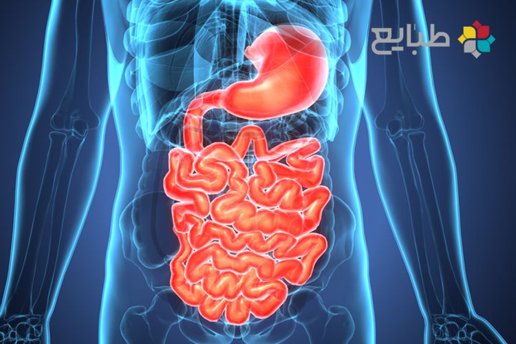 4 مرحله هضم غذا از منظر طب سنتی