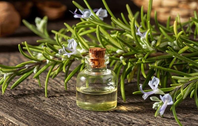 داروی گیاهی برای تقویت موی سر: درمان های طبیعی برای رشد و سلامت موها 1 تقویت مو