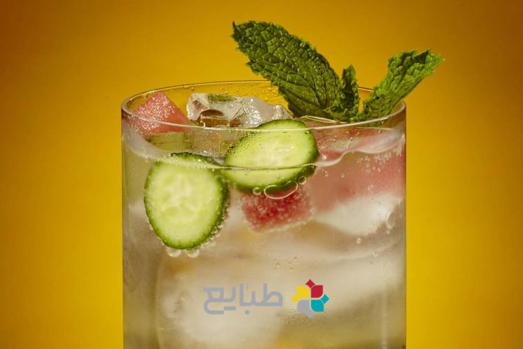 شربت های طب سنتی، خواص و طرز تهیه ( سکنجبین _ قسمت 2 )