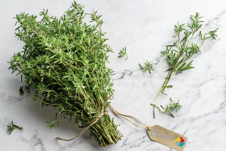 خواص و فواید مصرف گیاه آویشن