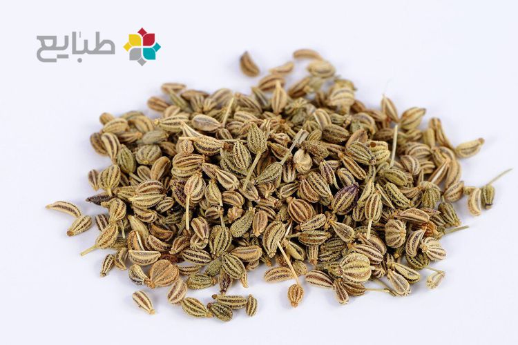 ۴۵ خاصیت زنیان