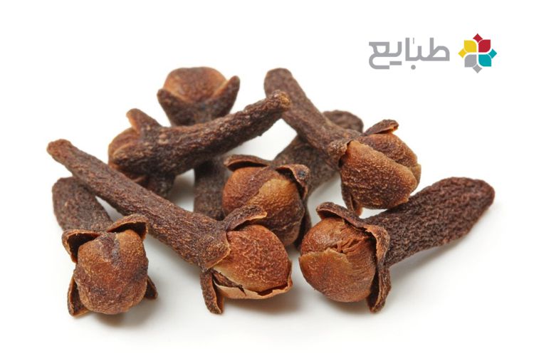 خواص گیاه میخک