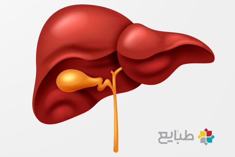 بهترین روش پاکسازی کبد
