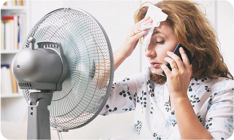 درمان گرگرفتگی یائسگی با طب سنتی؛ از گیاهان تا معجونهای شفابخش 1 یائسگی