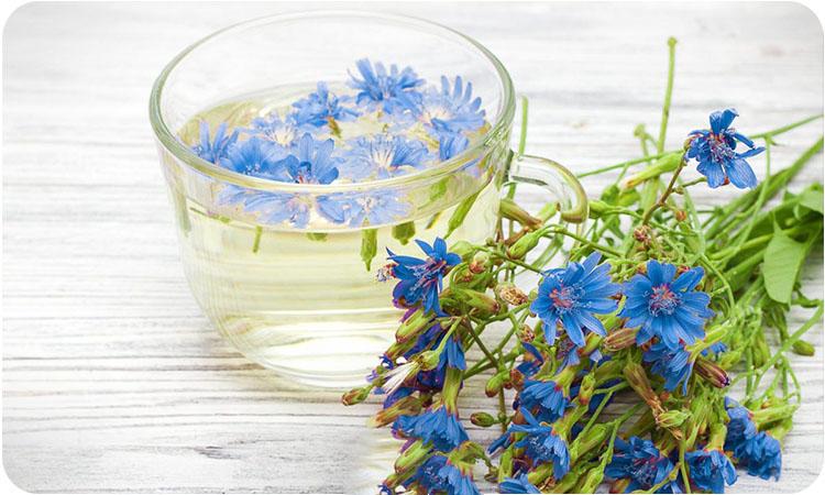 درمان گرگرفتگی یائسگی با طب سنتی؛ از گیاهان تا معجونهای شفابخش 2 یائسگی