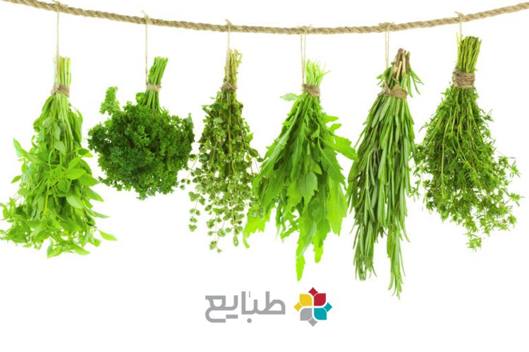 مفردات ضد التهاب و اورام در طب سنتی ایران