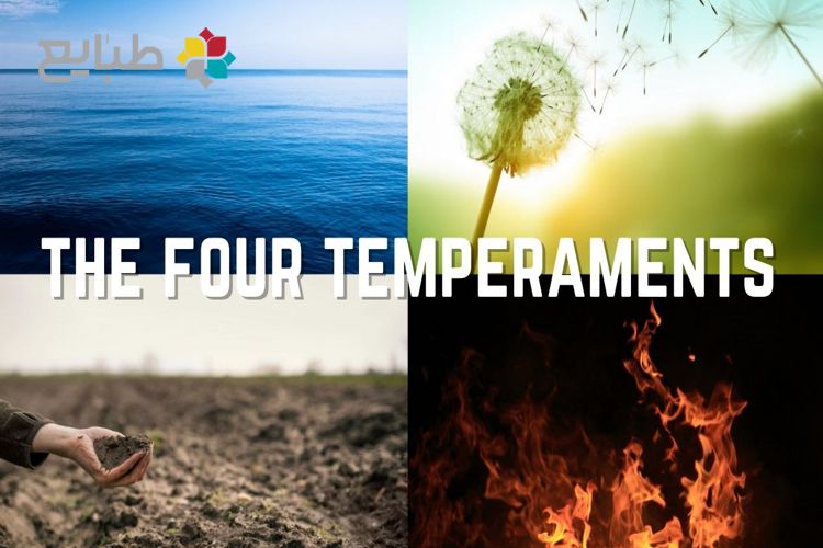 انواع اخلاط در طب سنتی