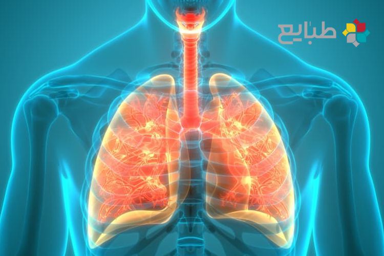 ریه و درمان بیماری های ریوی با طب سنتی