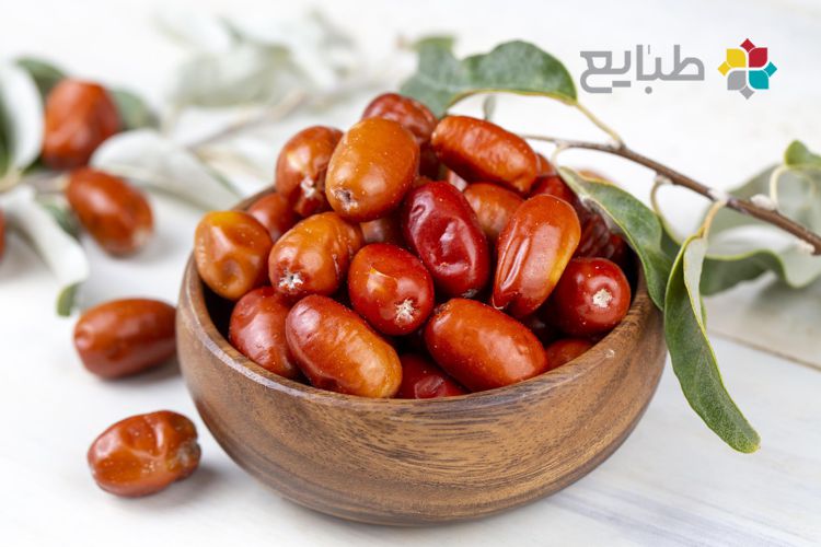 خواص سنجد در طب سنتی