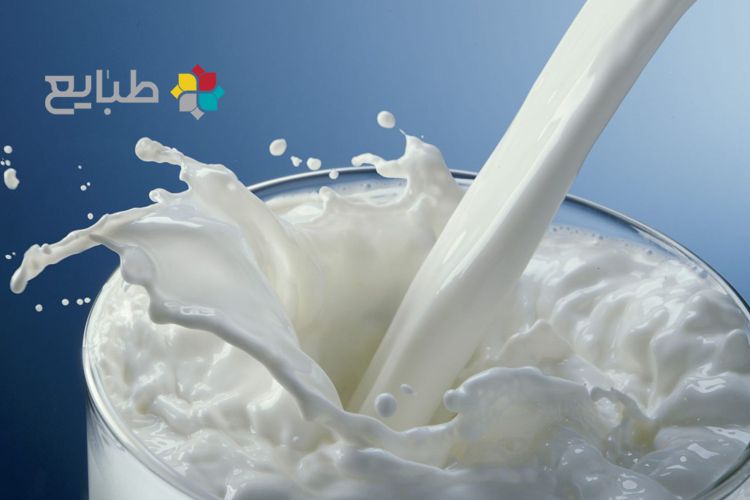 شیر از دیدگاه طب سنتی