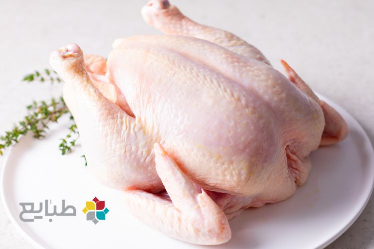 خواص گوشت مرغ و سایر پرندگان