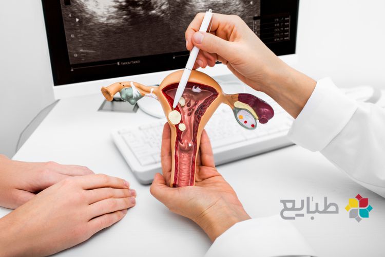 سلامت رحم در طب سنتی (بخش اول)