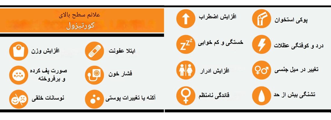 کورتیزول و تاثیر آن بر بدن 1 کورتیزول