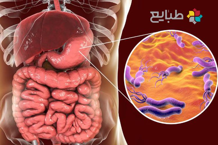 میل جنسی و میکروب معده در طب نوین و طب سنتی