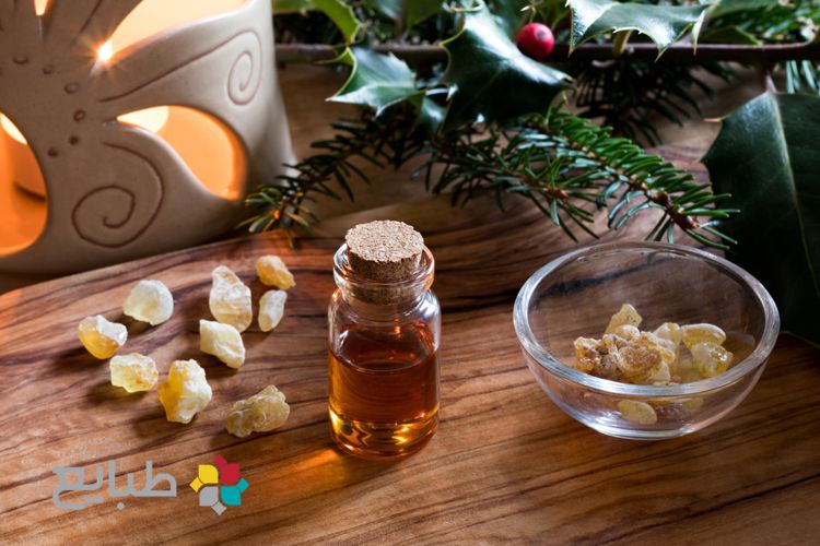 کندر و ویتامین B12 برای تمرکز، تقویت مغز و انرژی پایدار