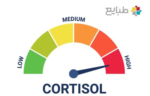طبایع 4 کورتیزول و تاثیر آن بر بدن