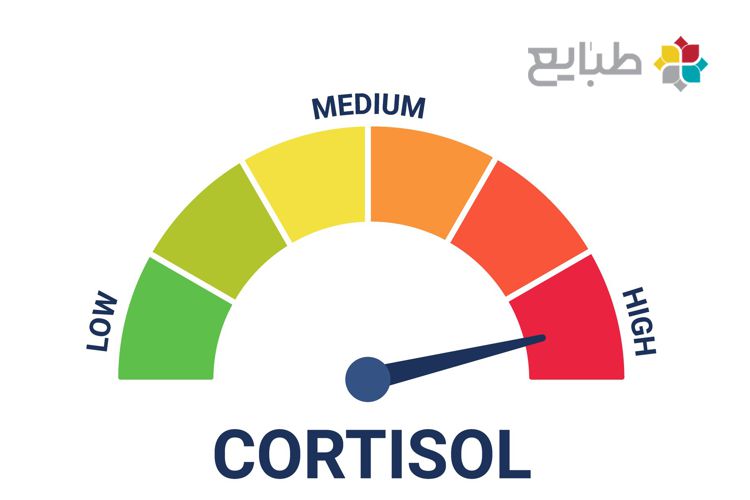 کورتیزول و تاثیر آن بر بدن