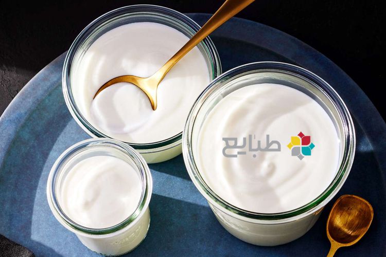 همه چیز در مورد ماست در طب سنتی